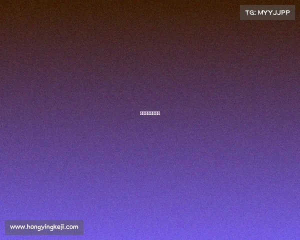 赛事公司组织架构